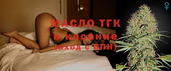 твердый Осинники