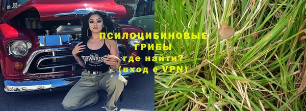 крисы Осташков