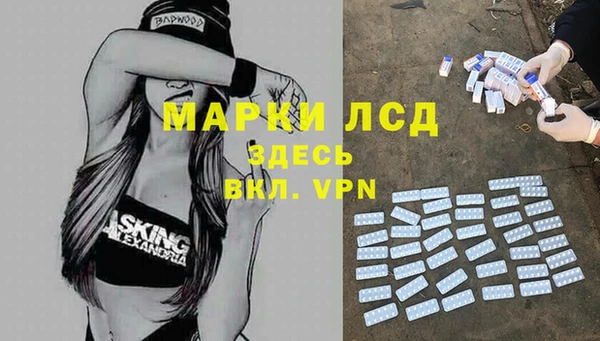 крисы Осташков