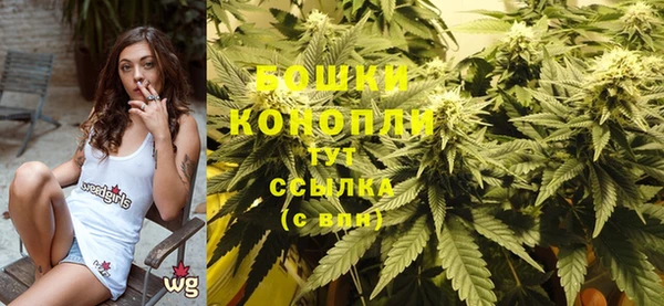 крисы Осташков